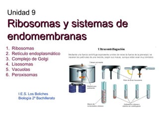 Unidad 9

Ribosomas y sistemas de
endomembranas
1.
2.
3.
4.
5.
6.

Ribosomas
Retículo endoplasmático
Complejo de Golgi
Lisosomas
Vacuolas
Peroxisomas

I.E.S. Los Boliches
Biología 2º Bachillerato

 
