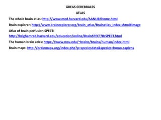 ÁREAS CEREBRALES
ATLAS
The whole brain atlas: http://www.med.harvard.edu/AANLIB/home.html
Brain explorer: http://www.brainexplorer.org/brain_atlas/Brainatlas_index.shtml#image

Atlas of brain perfusion SPECT:
http://brighamrad.harvard.edu/education/online/BrainSPECT/BrSPECT.html
The human brain atlas: https://www.msu.edu/~brains/brains/human/index.html
Brain maps: http://brainmaps.org/index.php?p=speciesdata&species=homo-sapiens

 