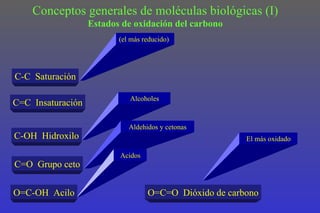 Conceptos generales de moléculas biológicas (I)
                   Estados de oxidación del carbono
                          (el más reducido)




C-C Saturación

                             Alcoholes
C=C Insaturación

                             Aldehidos y cetonas
C-OH Hidroxilo                                          El más oxidado

                          Acidos
C=O Grupo ceto


O=C-OH Acilo                       O=C=O Dióxido de carbono
 