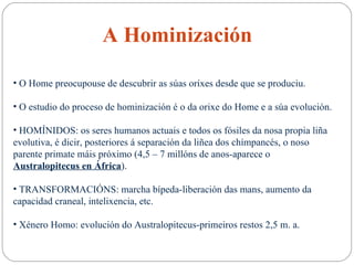 A Hominización O Home preocupouse de descubrir as súas oríxes desde que se produciu. O estudio do proceso de hominización é o da orixe do Home e a súa evolución. HOMÍNIDOS: os seres humanos actuais e todos os fósiles da nosa propia liña evolutiva, é dicir, posteriores á separación da liñea dos chímpancés, o noso parente primate máis próximo (4,5 – 7 millóns de anos-aparece o  Australopitecus en África ). TRANSFORMACIÓNS: marcha bípeda-liberación das mans, aumento da capacidad craneal, intelixencia, etc. Xénero Homo: evolución do Australopitecus-primeiros restos 2,5 m. a. 
