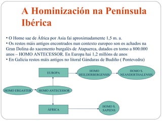 A Hominización na Península Ibérica O Home sae de África por Asia fai aproximadamente 1,5 m. a. Os restos máis antigos encontrados nun contexto europeo son os achados na Gran Dolina do xacemento burgalés de Atapuerca, datados en torno a 800.000 anos – HOMO ANTECESSOR. En Europa hai 1,2 millóns de anos En Galicia restos máis antigos no litoral Gándaras de Budiño ( Pontevedra)  HOMO ERGASTER EUROPA ÁFRICA HOMO ANTECESSOR HOMO HEILDERBERGENSIS HOMO S. NEANDERTHALENSIS HOMO S. SAPIENS 
