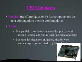CPU:Los buses
 Funcion transfiere datos entre los componentes de 
una computadora o entre computadoras.
 Tipos:
 Bus paralelo : los datos son enviados por bytes al 
mismo tiempo, con varias líneas de  funciones fijas
 Bus serie los datos son enviados, bit a bit y se 
reconstruyen por medio de registros de software
 