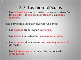 2.7. Las biomol éculas Las  biomol éculas  son exclusivas de los seres vivos. Son los  glúcidos , los  lípidos , las  proteinas  y los  ácidos nucleicos . Las biomoléculas realizan diversas funciones: Los  glúcidos  proporcionan la  energía . Los  lípidos  son sustancias de  reserva energética . Las  proteinas  sirven para el  crecimiento  y  reparación  de tejidos. Los  ácidos nucleicos  permiten las funciones de  reproducción . 9 