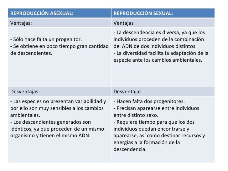 Tema 1 y 2