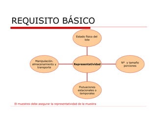 REQUISITO BÁSICO El muestreo debe asegurar la representatividad de la muestra Manipulación. almacenamiento y transporte Flutuaciones estacionales o temporales Nº  y tamaño porciones Estado físico del  lote Representatividad 