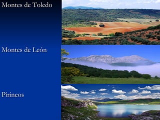 Montes de Toledo Montes de León  Pirineos 