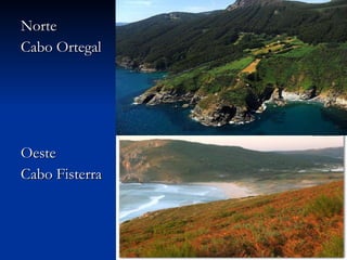 Norte  Cabo Ortegal Oeste  Cabo Fisterra 