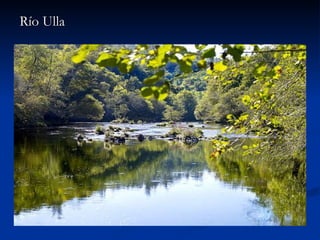 Río Ulla 