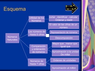 Esquema Números Naturales Utilidad de los Números  Los números de  Hasta 6 cifras Números de  Hasta 7 cifras Comparación y ordenación  de números cortar , identificar , calcular , Ordenar y medir Ordenes de unidades  Aproximación al millón  Mayor que , menor que , Igual que Aproximación a la unidad De millar El valor de las cifras de un  número Descomposición  Representación de números   