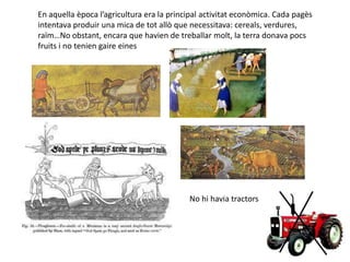En aquella època l’agricultura era la principal activitat econòmica. Cada pagès
intentava produir una mica de tot allò que necessitava: cereals, verdures,
raïm…No obstant, encara que havien de treballar molt, la terra donava pocs
fruits i no tenien gaire eines




                                           No hi havia tractors
 