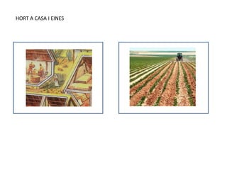 HORT A CASA I EINES
 