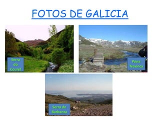 FOTOS DE GALICIA



 Serra                        Pena
  do                        Trevinca
Courel




            Serra do
            Barbanza
 