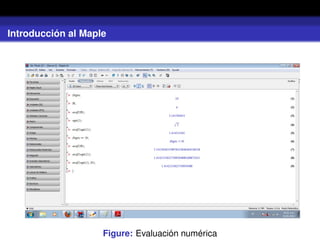 Introducción al Maple
Figure: Evaluación numérica
 