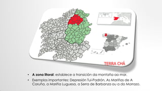 • A zona litoral: establece a transición da montaña ao mar.
• Exemplos importantes: Depresión Tui-Padrón, As Mariñas de A
Coruña, a Mariña Luguesa, a Serra de Barbanza ou a do Morrazo.
TERRA CHÁ
 