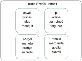 Troba l’intrús i ratlla’l
 