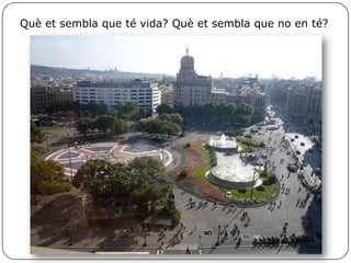 Què et sembla que té vida? Què et sembla que no en té?
 