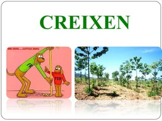 CREIXEN
 