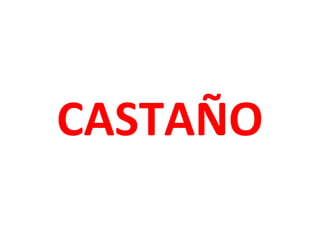 CASTAÑO
 