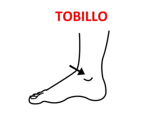 TOBILLO
 