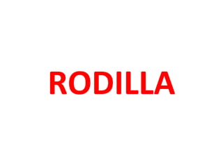 RODILLA
 