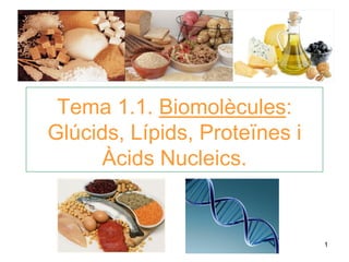 1
Tema 1.1. Biomolècules:
Glúcids, Lípids, Proteïnes i
Àcids Nucleics.
 
