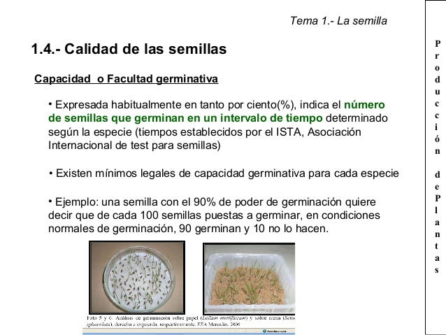 Tema 1. la semilla
