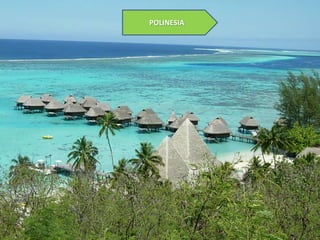 POLINESIA

 