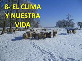 8- EL CLIMA
Y NUESTRA
VIDA

 