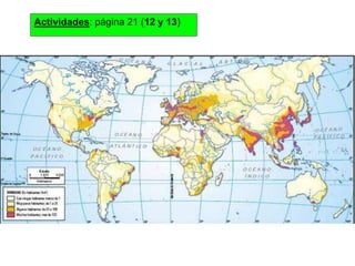 Actividades: página 21 (12 y 13)

 