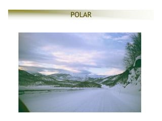 POLAR

 