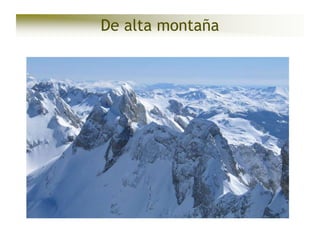 De alta montaña

 