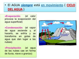 • El AGUA siempre está en movimiento ( CICLO
DEL AGUA )
Evaporación
(el calor
provoca la evaporación del
agua superficial)
Condensación (el vapor
de agua asciende y, al
hacerlo, se enfría y se
transforma en gotas de
agua que dan lugar a las
nubes)
Precipitación
(el agua
de las nubes cae en forma
de lluvia, nieve o granizo)

 