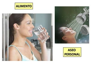 ALIMENTO

ASEO
PERSONAL

 