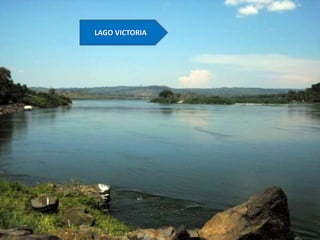 LAGO VICTORIA

 
