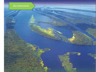 RÍO AMAZONAS

 