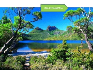 ISLA DE TASMANIA

 