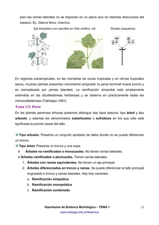 pero las ramas laterales no se disponen en un plano sino en distintas direcciones del
espacio. Ej.: Datura ferox, chamico.
Eje simpódico con zarcillos en Vitis vinifera, vid

Dicasio (esquema)

En regiones extratropicales, en las montañas de zonas tropicales y en climas tropicales
secos, muchas plantas presentan crecimiento simpodial: la yema terminal muere pronto y
es reemplazada por yemas laterales. La ramificación simpodial está ampliamente
extendida en las dicotiledóneas herbáceas y se observa en prácticamente todas las
monocotiledóneas (Takhtajan,1991)

Tema 1.5: Porte
En las plantas perennes leñosas podemos distinguir dos tipos básicos: tipo árbol y tipo
arbusto, y además los denominados subarbustos o sufrútices en los que sólo está
lignificada la porción basal del tallo.
Tipo arbusto. Presenta un conjunto apretado de tallos donde no se puede diferenciar
un tronco.
Tipo árbol. Presenta un tronco y una copa.
Árboles no ramificados o monocaules. No tienen ramas laterales.
Árboles ramificados o pluricaules. Tienen ramas laterales.
1. Árboles con ramas equivalentes. No tienen un eje principal.
2. Árboles diferenciados en tronco y ramas. Se puede diferenciar el tallo principal
engrosado o tronco y ramas laterales. Hay tres variantes:
a. Ramificación simpódica
b. Ramificación monopódica
c. Ramificación combinada

Hipertextos de Botánica Morfológica – TEMA 1
www.biologia.edu.ar/botanica

13

 
