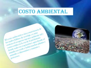 COSTO AMBIENTAL