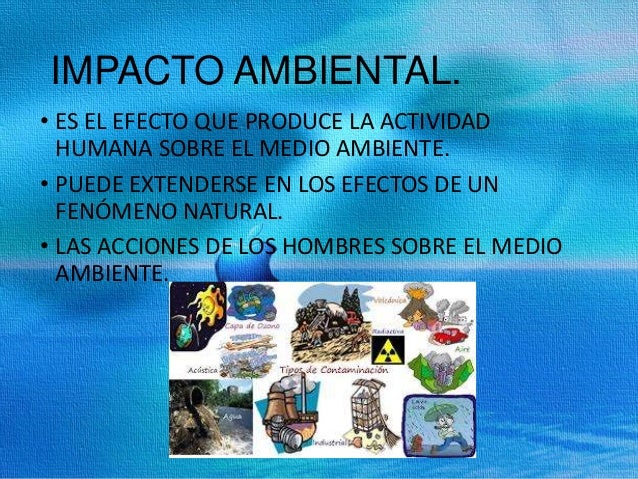 ¿Cuáles Son Los Efectos De La Acción Humana Sobre El Medio Ambiente – STUBJ