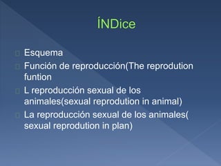 Esquema 
Función de reproducción(The reprodution 
funtion 
L reproducción sexual de los 
animales(sexual reprodution in an...