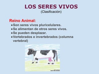 LOS SERES VIVOS 
(Clasificación) 
Reino Animal: 
●Son seres vivos pluricelulares. 
●Se alimentan de otros seres vivos. 
●Se pueden desplazar. 
●Vertebrados e invertebrados (columna 
vertebral) 
 