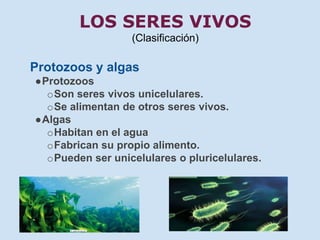 LOS SERES VIVOS 
(Clasificación) 
Protozoos y algas 
●Protozoos 
oSon seres vivos unicelulares. 
oSe alimentan de otros seres vivos. 
●Algas 
oHabitan en el agua 
oFabrican su propio alimento. 
oPueden ser unicelulares o pluricelulares. 
 