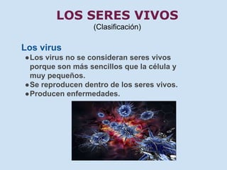 LOS SERES VIVOS 
(Clasificación) 
Los virus 
●Los virus no se consideran seres vivos 
porque son más sencillos que la célula y 
muy pequeños. 
●Se reproducen dentro de los seres vivos. 
●Producen enfermedades. 
