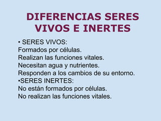 DIFERENCIAS SERES 
VIVOS E INERTES 
• SERES VIVOS: 
Formados por células. 
Realizan las funciones vitales. 
Necesitan agua y nutrientes. 
Responden a los cambios de su entorno. 
•SERES INERTES: 
No están formados por células. 
No realizan las funciones vitales. 
 