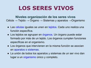 LOS SERES VIVOS 
Niveles organización de los seres vivos 
Célula → Tejido → Órgano → Sistemas y aparatos →Organismo 
● Las células iguales se unen en tejidos. Cada uno realiza una 
función específica. 
● Los tejidos se agrupan en órganos. Un órgano puede estar 
formado por más de un tejido. Los órganos cumplen funciones 
específicas en el organismo. 
● Los órganos que intervienen en la misma función se asocian 
en aparatos o sistemas. 
● La unión de todos los aparatos y sistemas de un ser vivo dan 
lugar a un organismo único y completo. 
 