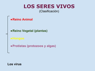 LOS SERES VIVOS 
(Clasificación) 
●Reino Animal 
●Reino Vegetal (plantas) 
●Hongos 
●Protistas (protozoos y algas) 
Los virus 
 