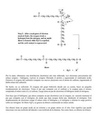 Por lo tanto, obtenemos una distribución electrónica aún más elaborada. Los electrones provenientes del
enlace oxígeno - hidrógeno, vuelven al oxígeno liberando el protón y regenerando el catalizador ácido.
Entonces el oxígeno del carbonilo comparte sus nuevos electrones con el átomo de carbono, regenerando el
doble enlace del carbonilo.
De hecho, no es suficiente. El oxígeno del grupo hidroxilo decide por su cuenta, hacer un pequeño
reordenamiento de electrones. Toma el par que comparte con el carbono y lo acapara para sí mismo,
rompiendo el enlace entre él y el carbono. Luego dona un par de electrones al hidrógeno unido al nitrógeno.
Esto hace que el hidrógeno, que ahora comparte un par electrónico con el oxígeno, no necesite mantener el
par que comparte con el nitrógeno, de modo que deja escapar dicho par, dándoselo al nitrógeno. Este
desplazamiento de electrones rompe el enlace entre el hidrógeno y el nitrógeno y elimina la carga positiva
sobre ese nitrógeno. Se libera 2H O y se genera un dímero conteniendo un enlace amida.
Ese dímero tiene un grupo ácido en un extremo y un grupo amino en el otro. Esto significa que puede
reaccionar con una molécula del diácido o una molécula de la diamina. Sea como fuere, se obtiene un trímero.
 