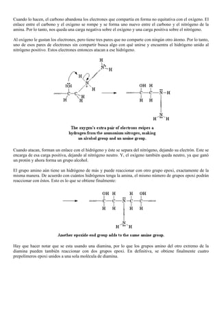 Cuando lo hacen, el carbono abandona los electrones que compartía en forma no equitativa con el oxígeno. El
enlace entre el carbono y el oxígeno se rompe y se forma uno nuevo entre el carbono y el nitrógeno de la
amina. Por lo tanto, nos queda una carga negativa sobre el oxígeno y una carga positiva sobre el nitrógeno.
Al oxígeno le gustan los electrones, pero tiene tres pares que no comparte con ningún otro átomo. Por lo tanto,
uno de esos pares de electrones sin compartir busca algo con qué unirse y encuentra el hidrógeno unido al
nitrógeno positivo. Estos electrones entonces atacan a ese hidrógeno.
Cuando atacan, forman un enlace con el hidrógeno y éste se separa del nitrógeno, dejando su electrón. Este se
encarga de esa carga positiva, dejando al nitrógeno neutro. Y, el oxígeno también queda neutro, ya que ganó
un protón y ahora forma un grupo alcohol.
El grupo amino aún tiene un hidrógeno de más y puede reaccionar con otro grupo epoxi, exactamente de la
misma manera. De acuerdo con cuántos hidrógenos tenga la amina, el mismo número de grupos epoxi podrán
reaccionar con éstos. Esto es lo que se obtiene finalmente:
Hay que hacer notar que se esta usando una diamina, por lo que los grupos amino del otro extremo de la
diamina pueden también reaccionar con dos grupos epoxi. En definitiva, se obtiene finalmente cuatro
prepolímeros epoxi unidos a una sola molécula de diamina.
 