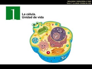 BIOLOGÍA Y GEOLOGÍA 4.º ESO
Tema 1: La célula. Unidad de vida
La célula.
Unidad de vida
 