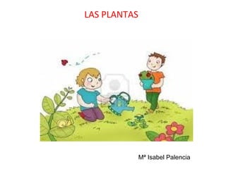 LAS PLANTAS
Mª Isabel Palencia
 